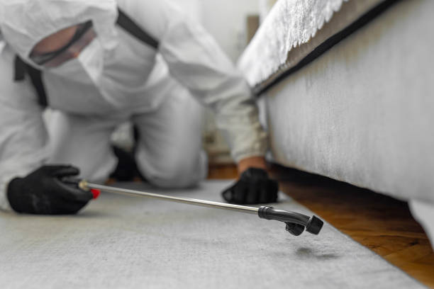 Professional Termite Control technician working in Sterling, IL