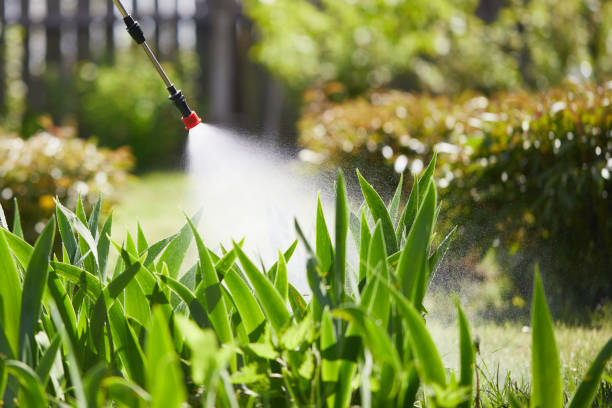 24/7 Emergency Termite Control experts in Sterling, IL