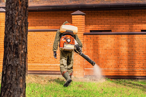 Top rated local Termite Control specialists in Sterling, IL